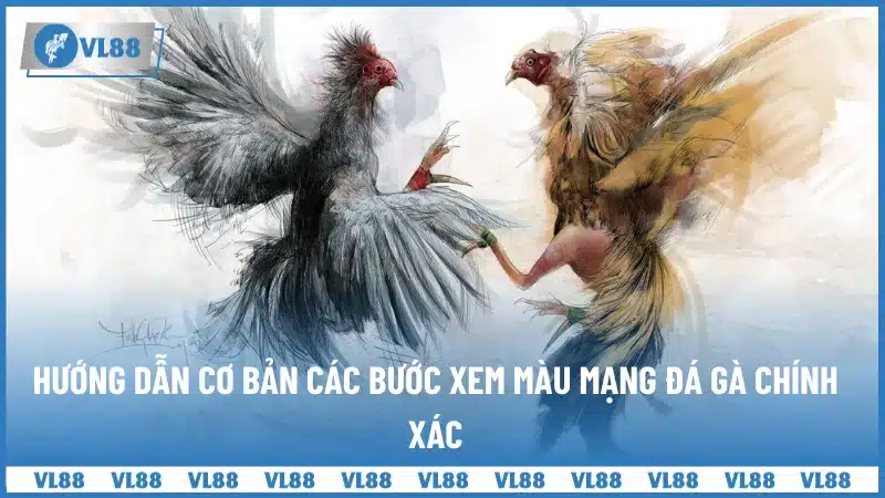 Hướng dẫn cơ bản các bước xem màu mạng đá gà chính xác