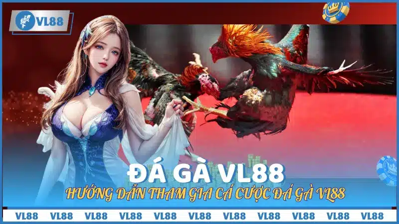 Hướng dẫn tham gia Đá Gà VL88