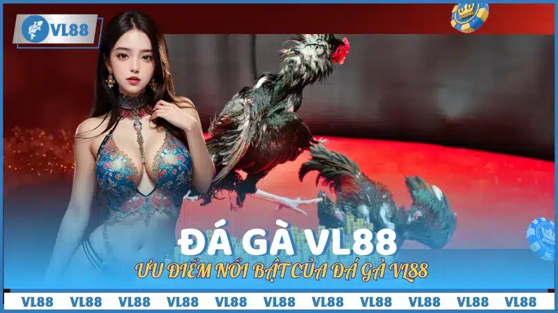 sảnh đá gà VL88