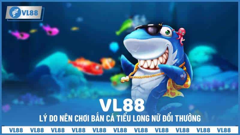 Lý do nên chơi bắn cá tiểu long nữ đổi thưởng