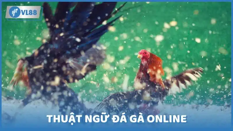 Thuật ngữ đá gà online