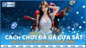 Chia sẻ cách chơi đá gà cựa sắt đỉnh cao luôn thắng nhất