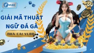 Thuật Ngữ Đá Gà VL88: Giải Mã Ngôn Ngữ Cho Sư Kê